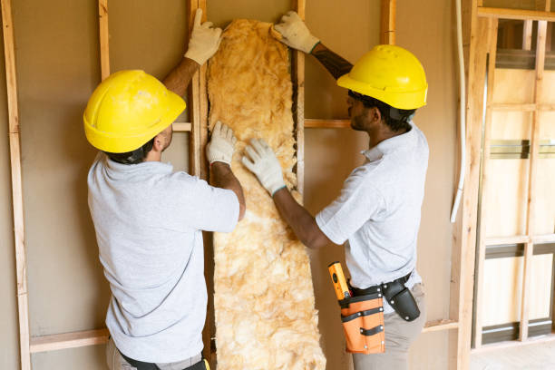 Best Insulation Repair Services  in New Franklin, OH